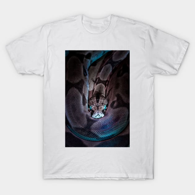 Serpent T-Shirt by Monument 7